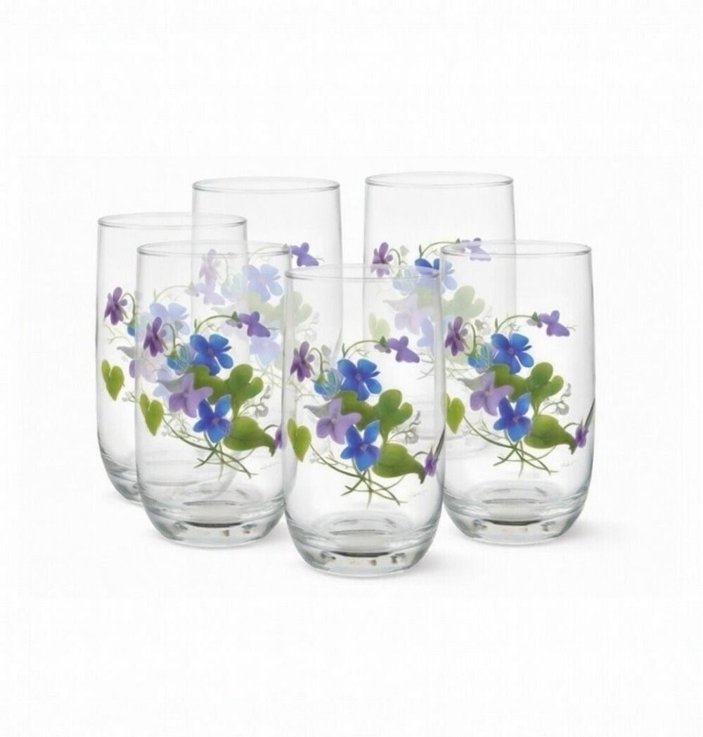 Floral Arcoroc France Glass Tumbler Signed by artist JWALSH set of 6